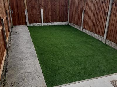 Picture 15